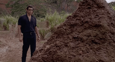 giphy-downsized-large.gif