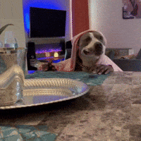 200w.gif