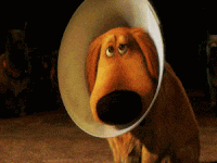 source.gif