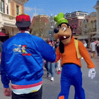 Disney World GIF by Respective
