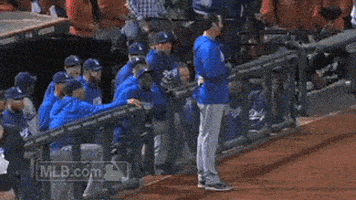 los angeles dodgers GIF by MLB