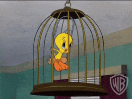 Swinging Tweety Bird GIF