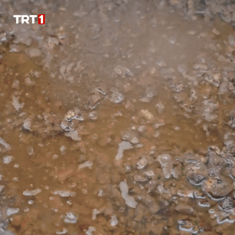 Hungry Eid Al-Adha GIF by TRT
