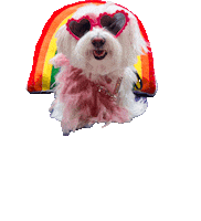 Love This So Good Sticker by HammyandBrody