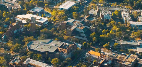 uf college campus GIF by University of Florida