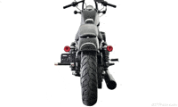 Harley Davidson Trydeal GIF by 007Plate.com