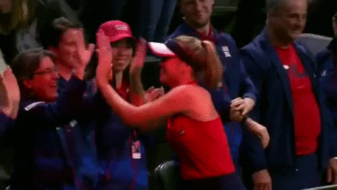 fedcup giphyupload celebration win team GIF