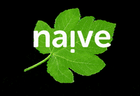 thenaivecompany naive thenaivecompany naivecoffeee GIF