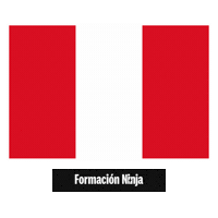 Peru Flag Sticker by Formación Ninja