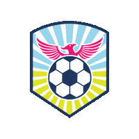 risesoccerclub together we rise rise soccer club rise sc always rise Sticker
