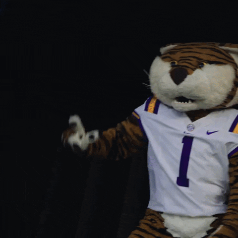 Sports gif. Mike the Tiger, the mascot for the LSU Tigers, walks onto the field of a game. He looks at us with a serious expression on his face as he points at us with both of his paws and claps aggressively.