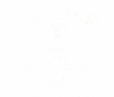 Good Morning Hello GIF by ChipPunks