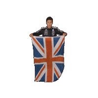 Formula One Sticker Sticker by Mercedes-AMG Petronas Formula One Team