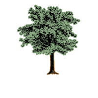 AngelsEnvy angelsenvy 16 trees 17 happy hour 2 toast the trees Sticker