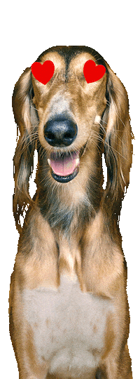 Sticker by Super zoo