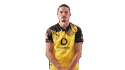 Borussia Dortmund Football Sticker by Bundesliga