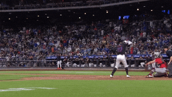 Celebrate Home Run GIF by MLB
