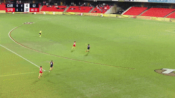 GIF by Sydney Swans