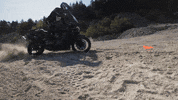 harleydavidson harley harley-davidson h-d harley motorcycle GIF