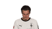 Look Up Borussia Moenchengladbach Sticker by Bundesliga