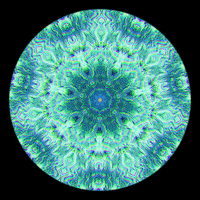 Beauty Loop GIF
