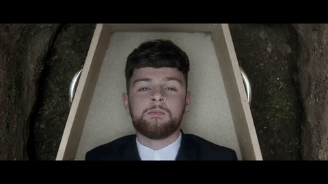 GIF by Casablanca Records