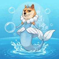 Splashing Shiba Inu GIF by Doge Pound