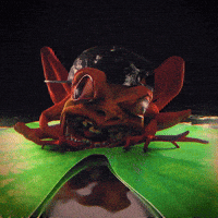 Facial Expression Dancing GIF by davidvnun