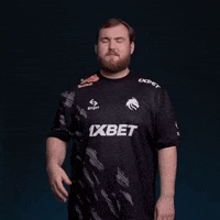 Chopper GIF by Team Spirit