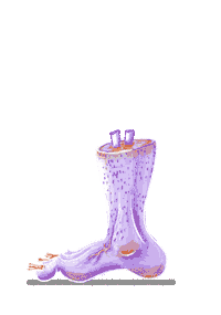 Monster Mash Halloween Sticker by The Duke & The Duck