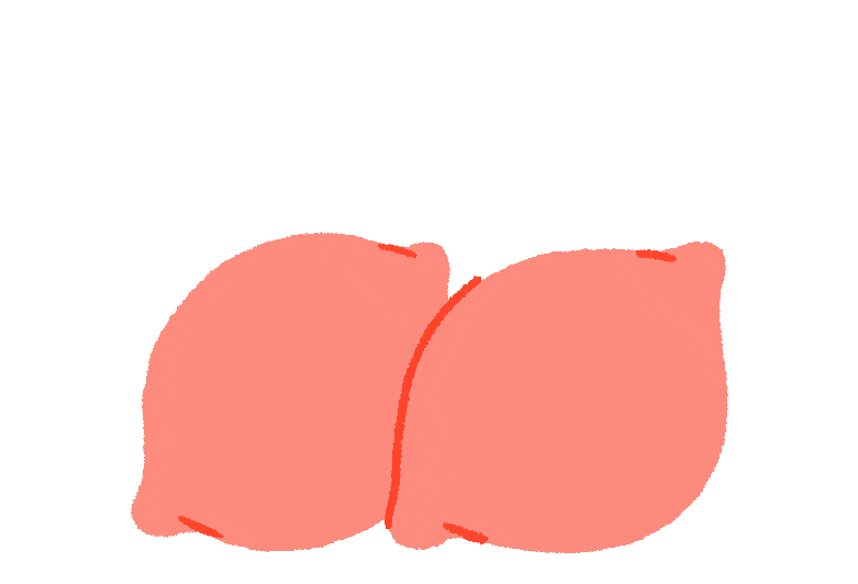 animade giphyupload Sticker