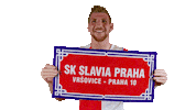 Football Home Sticker by SK Slavia Praha