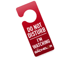 do not disturb omg Sticker by The Bachelor