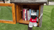Wolf Pack Csu GIF by Cardinal Stritch University