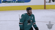 ice hockey sport GIF by NHL