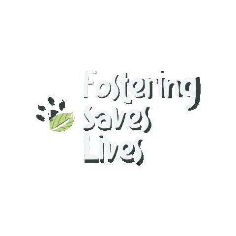 LeafAnimals giphygifmaker cat dog pet Sticker