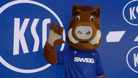 2 Bundesliga GIF by Karlsruher SC