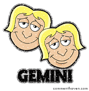 gemini STICKER