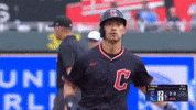 Celebrate Jumping Jacks GIF by MLB
