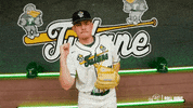 College Baseball Kyle GIF by GreenWave