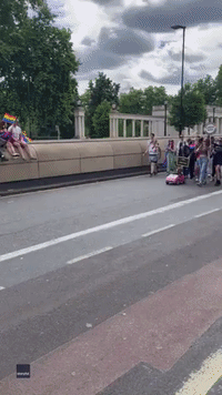Adorable Dog Leads London Pride Parade Group in Tiny Car