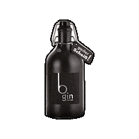 weingutsteyrer gin bgin b-gin Sticker