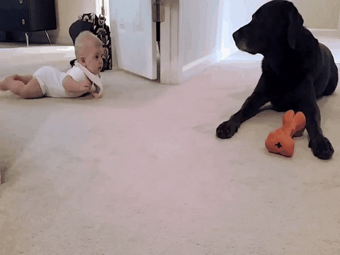 baby crawl GIF