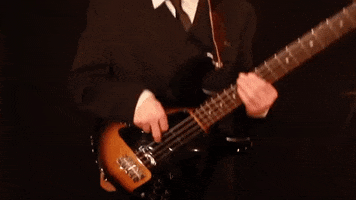 prawn GIF by Topshelf Records