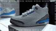 Room Jordan GIF by Carolina Football