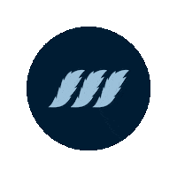 Pay Srilanka Sticker by Mintpay