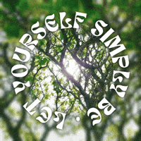 M-a-ex green sun sunshine forest GIF