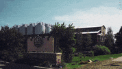GIF by Odell Brewing Company