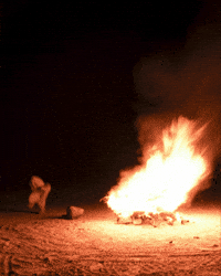 naterthegerbil fire horror scary memes GIF