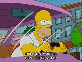 homer simpson GIF